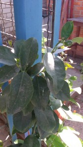 20160712_093402.jpg