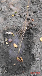 20141116153219(1).JPG