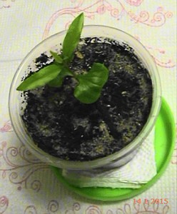 20150114015320(1).JPG