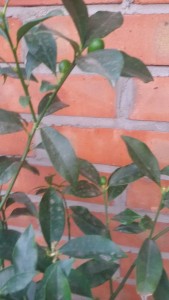 20160713_113223.jpg