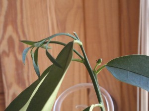 2016-08-28-613.jpg