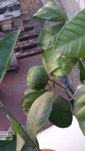 20160905_091251.jpg