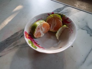 DSCF0546.JPG