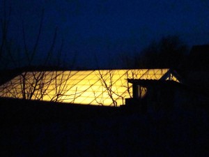 DSC09618.jpg